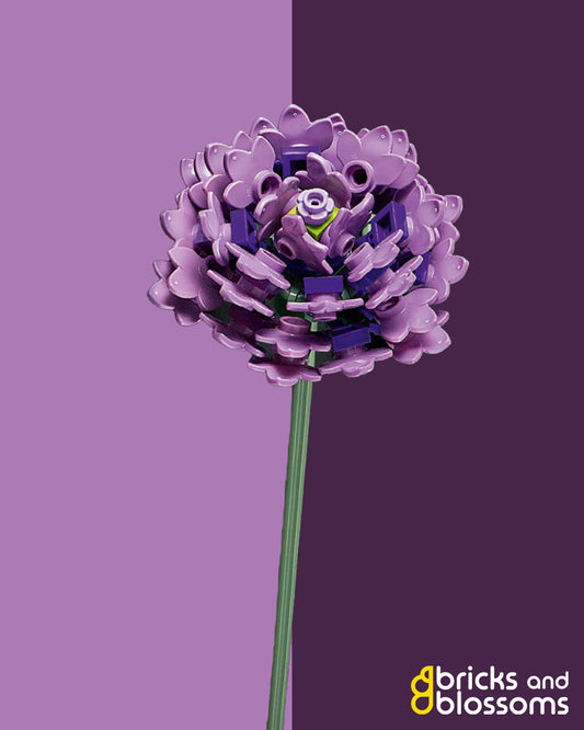 Asters