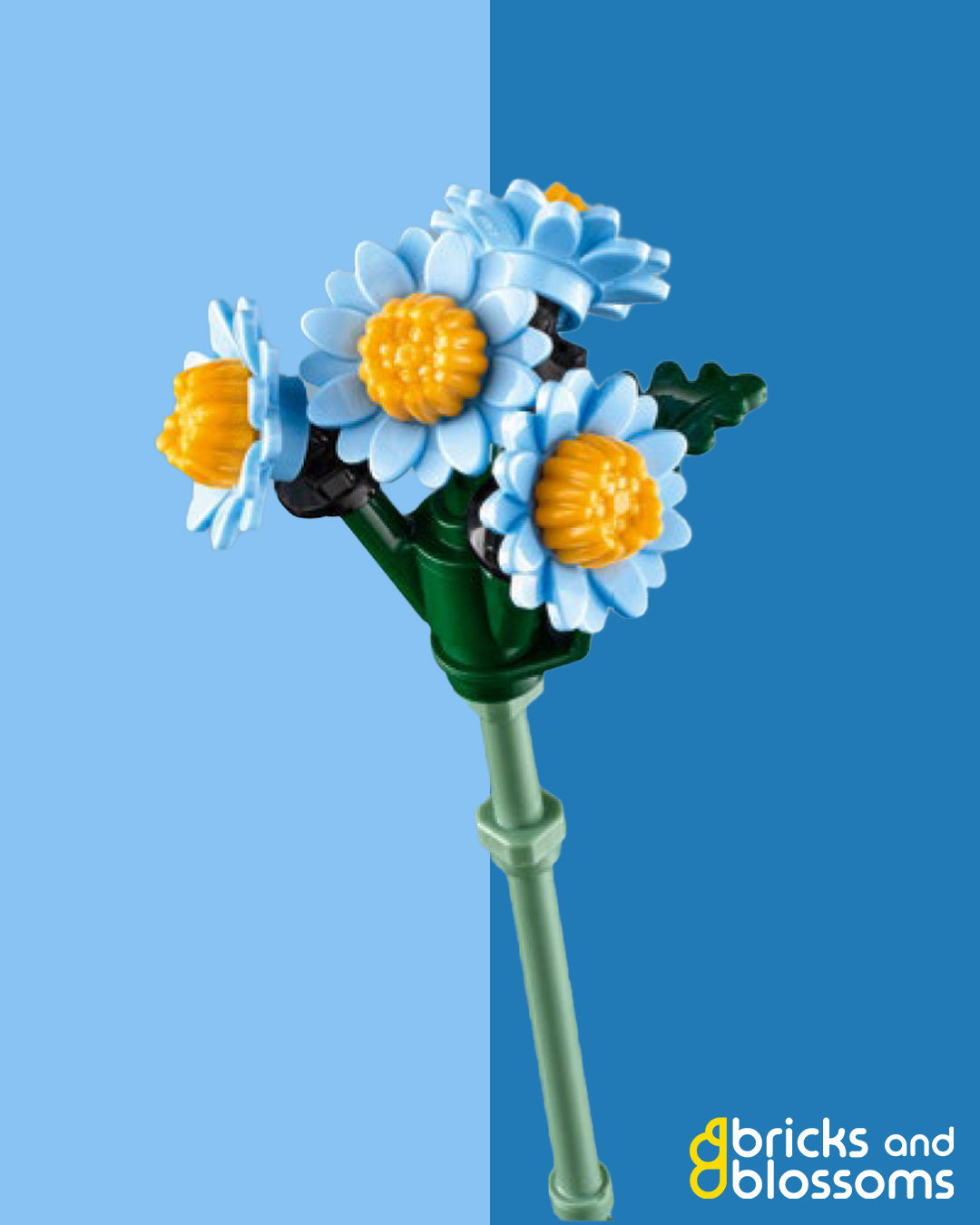 Blue Daisy