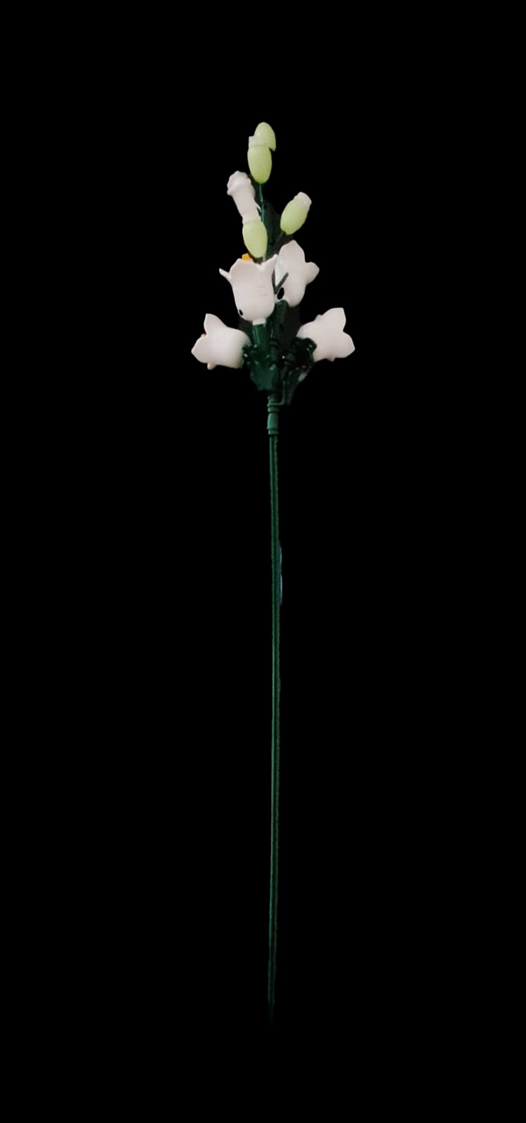 Canterbury Bells