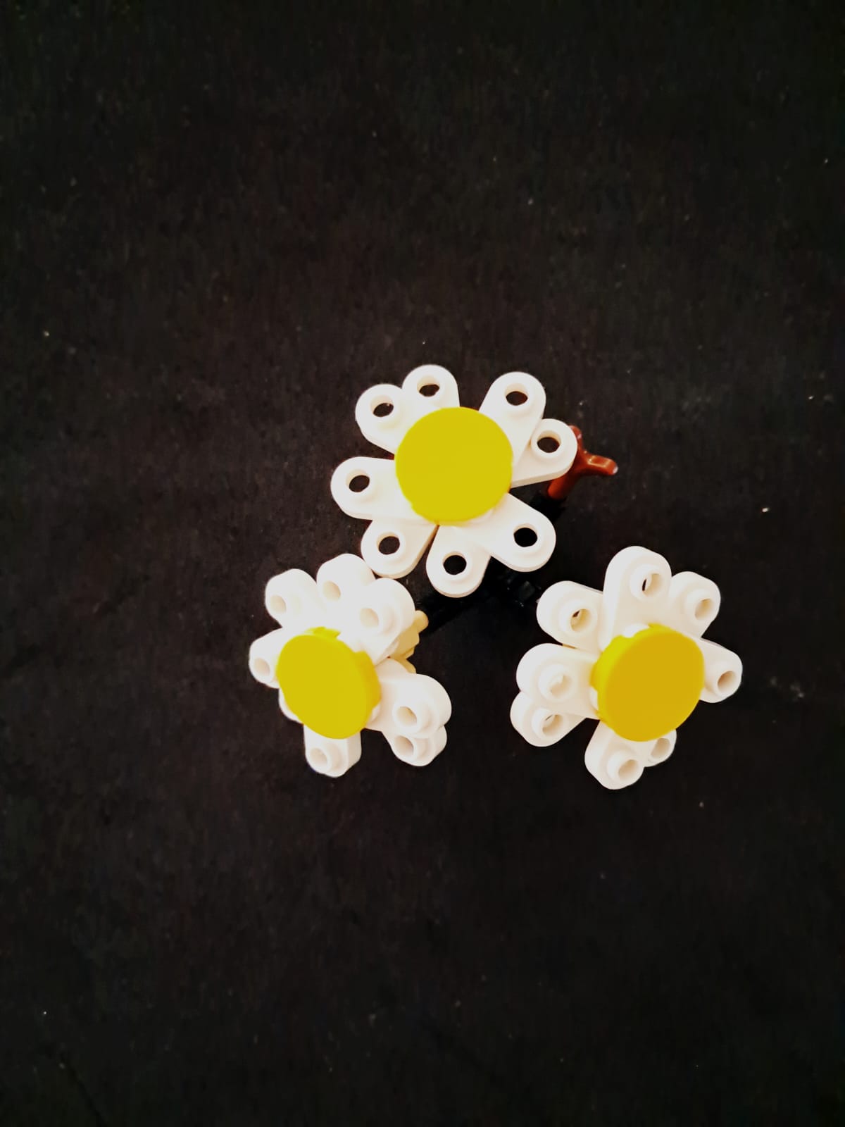 Daisy Stem
