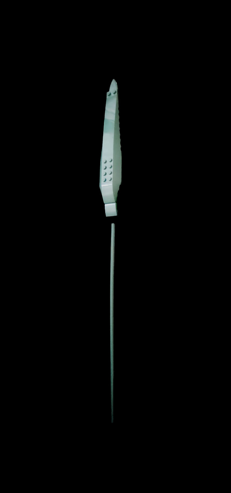 Leaf Stem