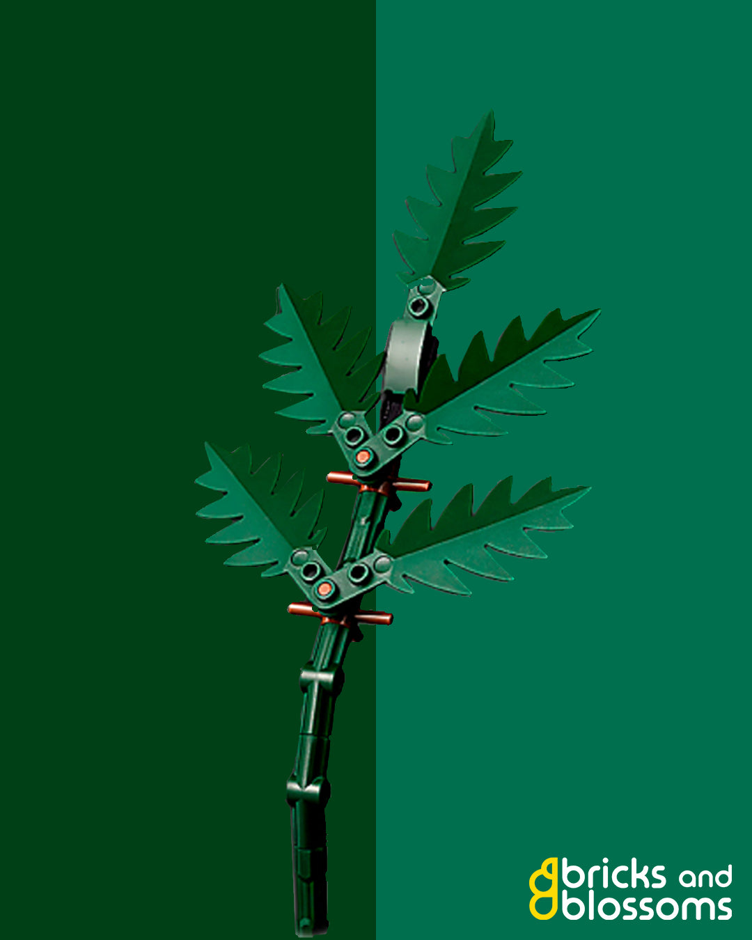 Leatherleaf Fern