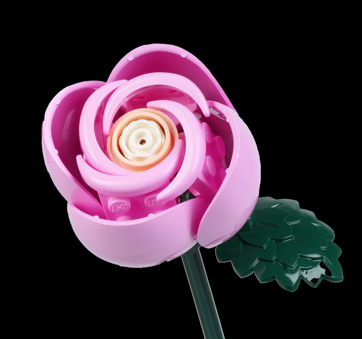 Pink Rose