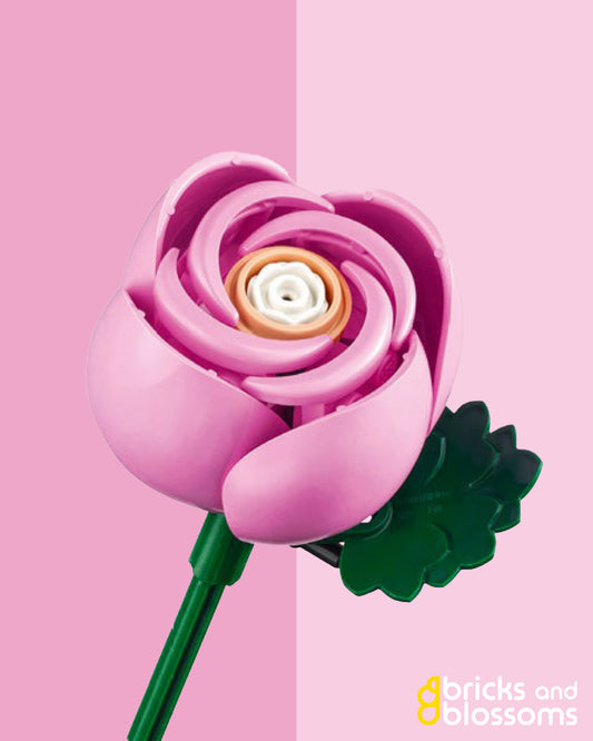 Pink Rose