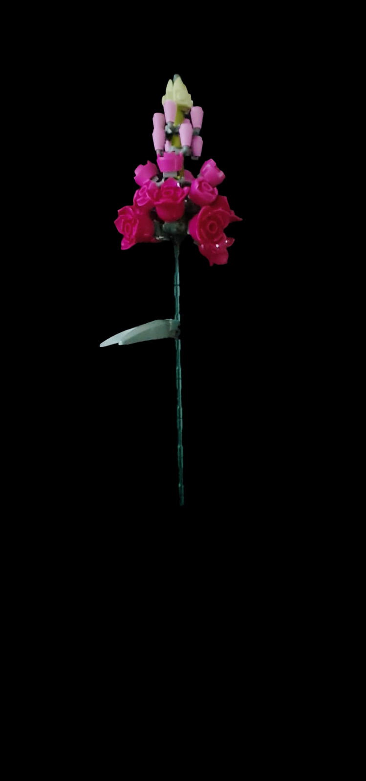 Snapdragon