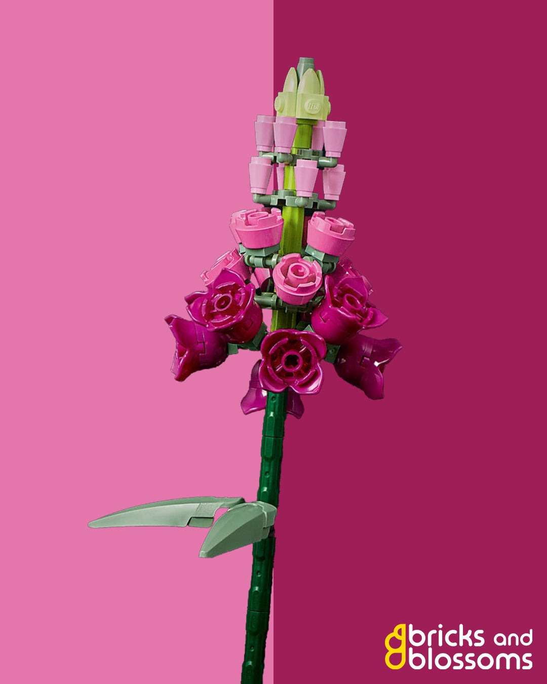 Snapdragon