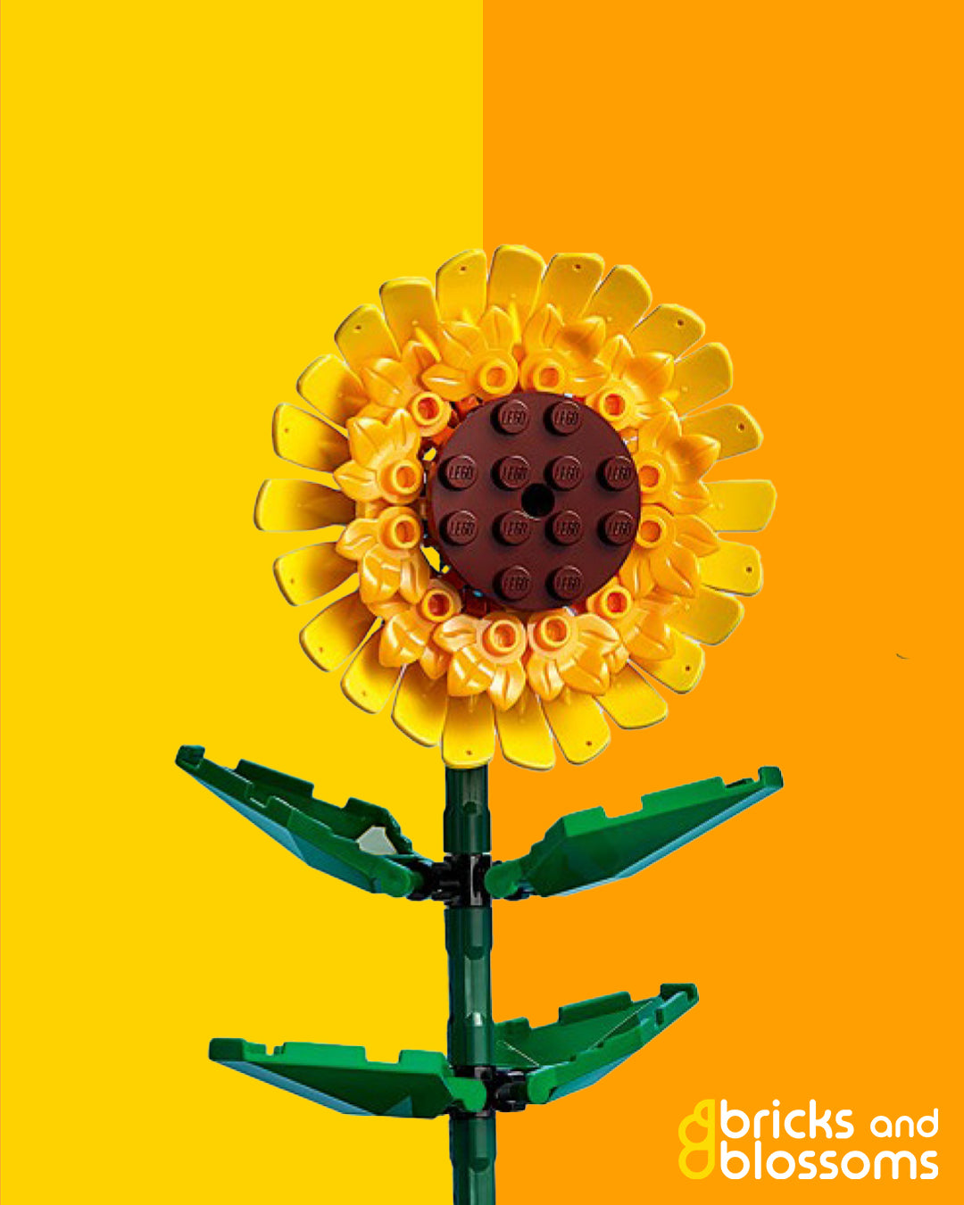 Sunflower Stem