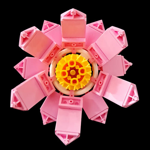 Pink Lotus Flower Stem