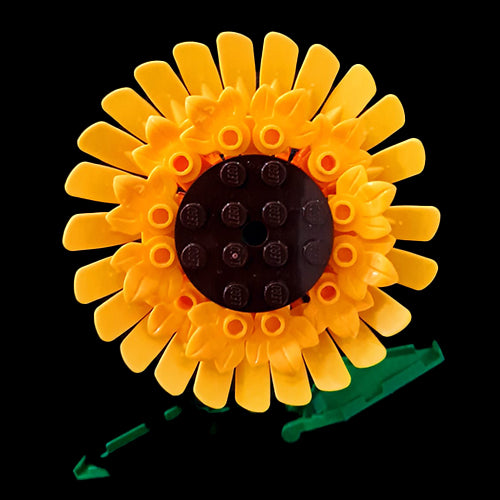 Sunflower Stem