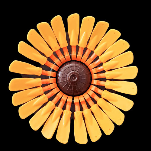 Yellow Gerber Daisy