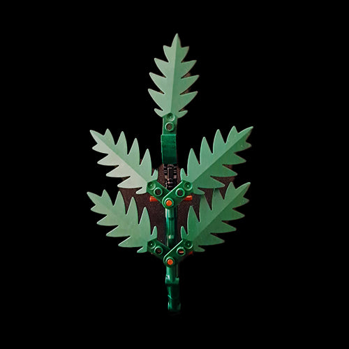 Leatherleaf Fern