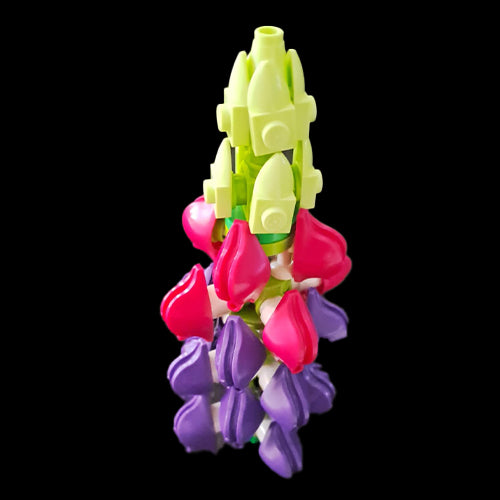 Lupin