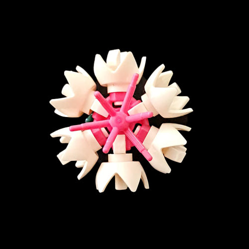 White Cornflower