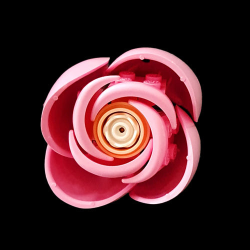 Pink Rose