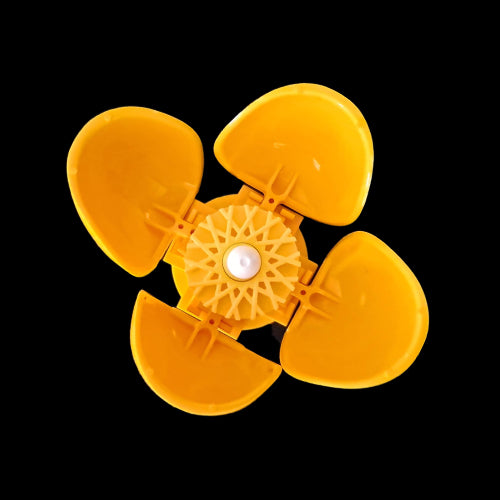 Welsh Poppy