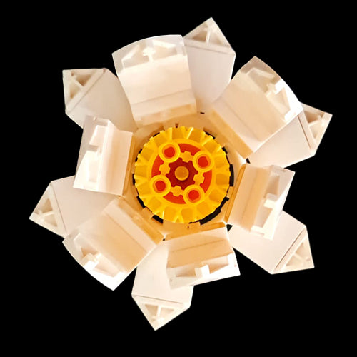 White Lotus Flower Stem