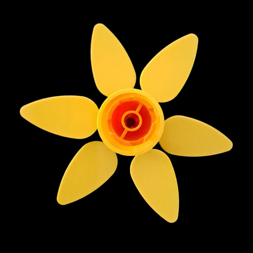 Yellow Daffodil