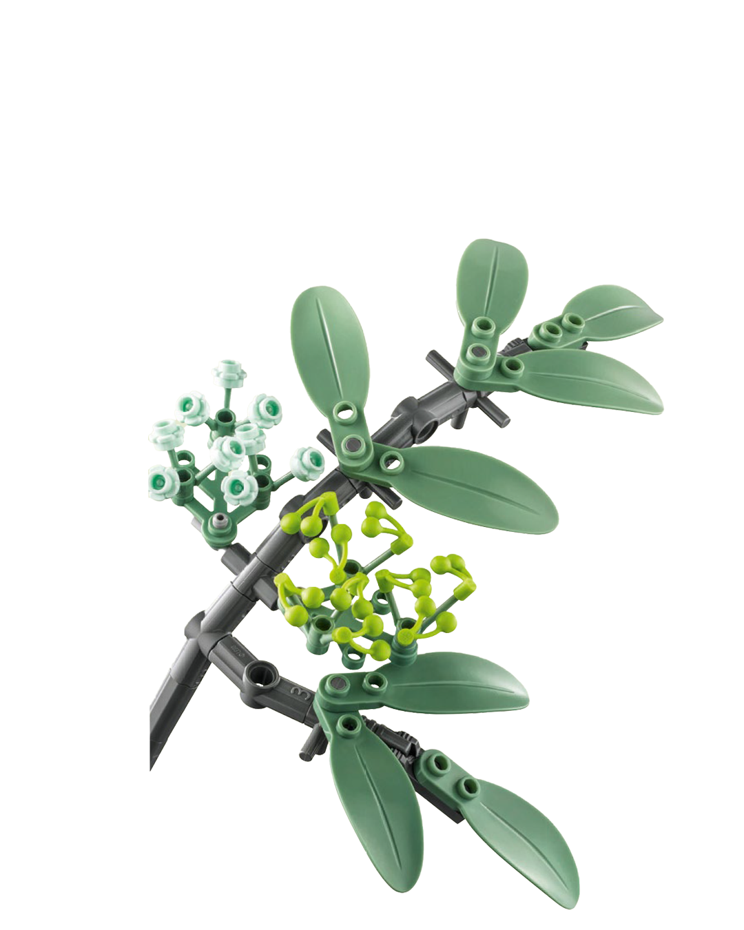 Elder Flower