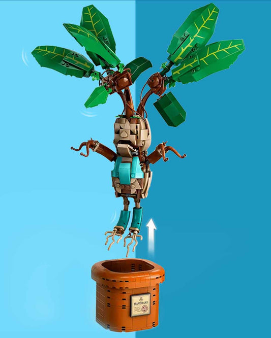 The Mandrake Gender Reveal