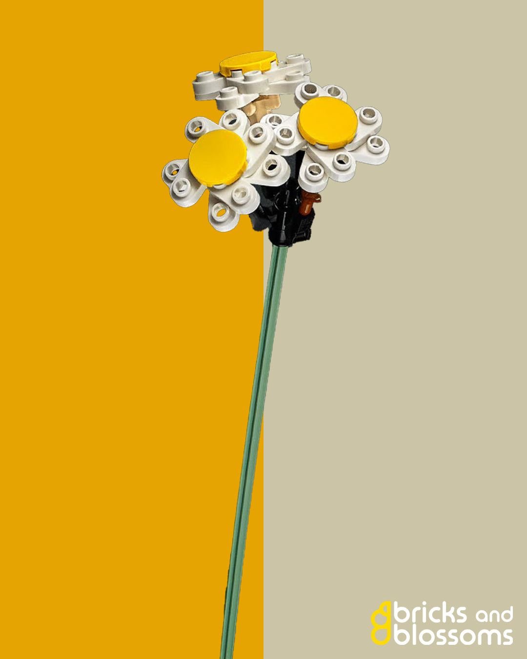 Daisy Stem