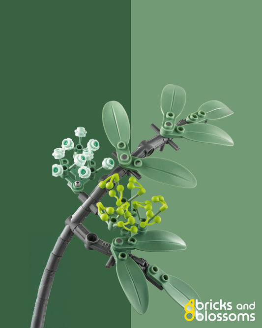 Elder Flower