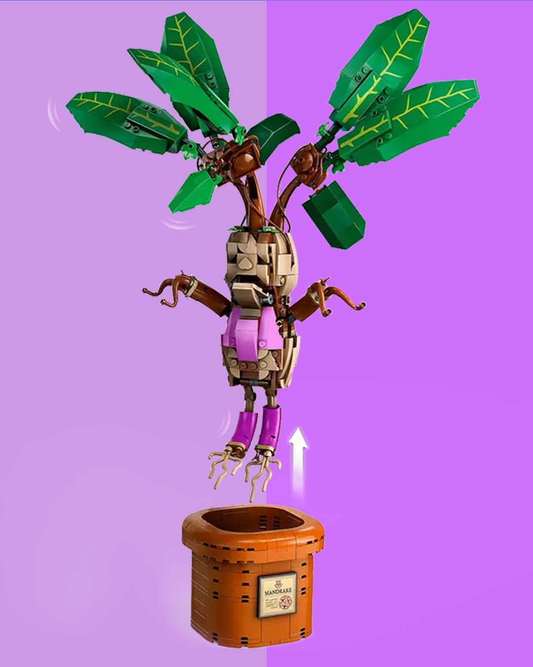 The Mandrake Gender Reveal