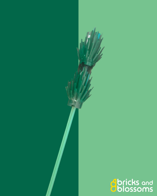 Grasses