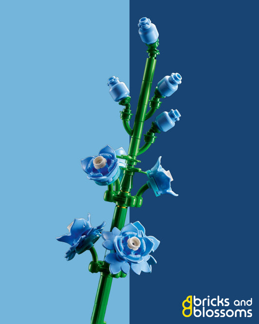 Larkspur
