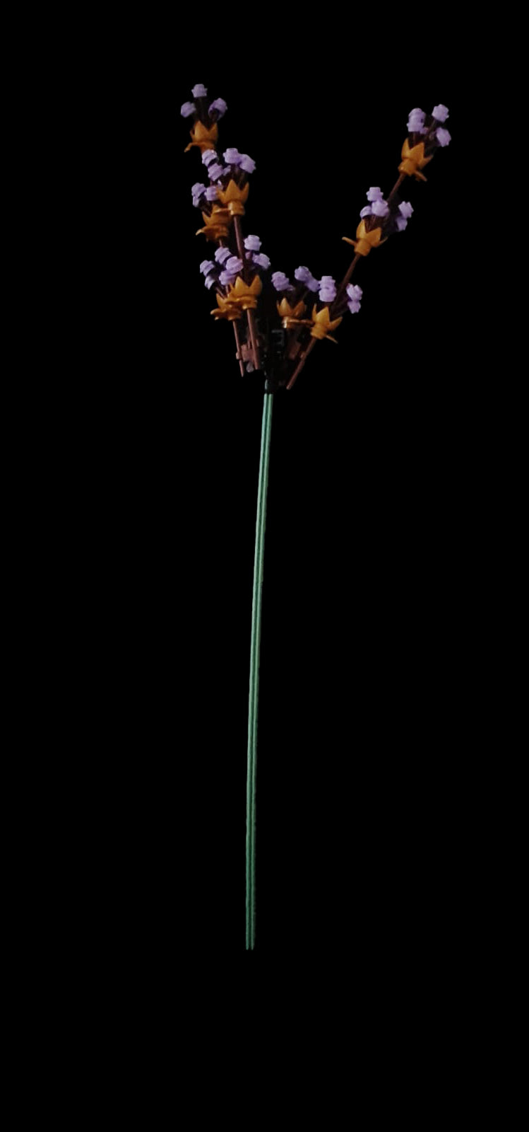 Lavender Sprig