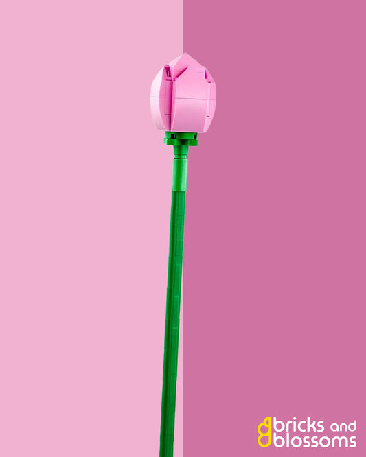 Pink Lotus Flower Stem Closed