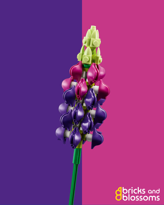 Lupin