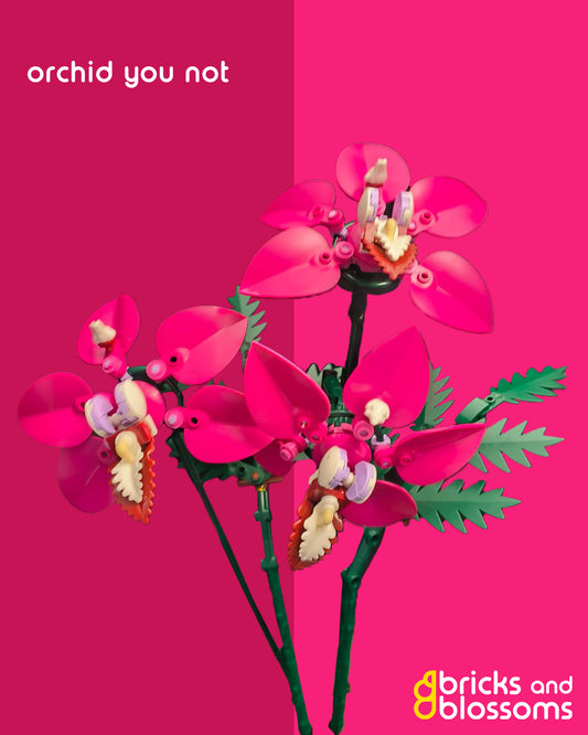Orchid you not