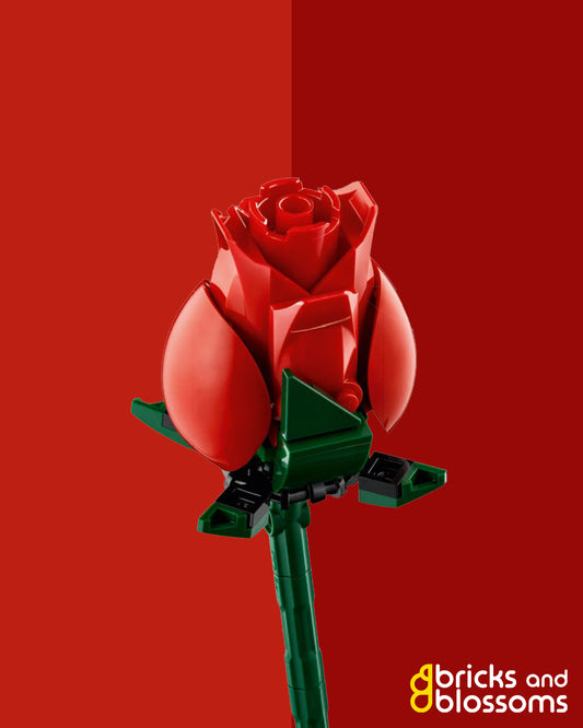 Red Rose - Closed Bud