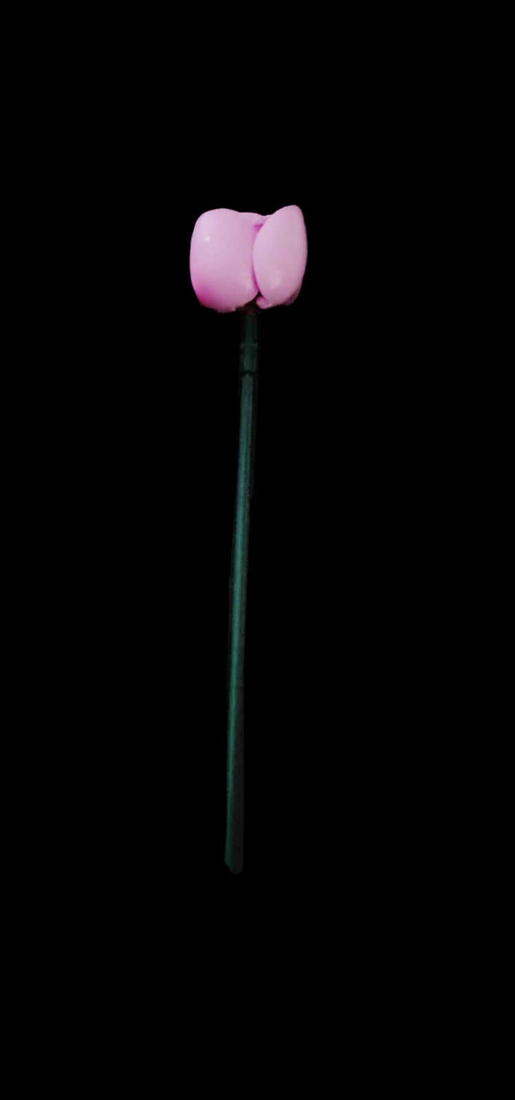 Pink Rose