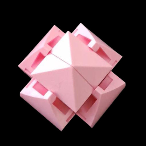 Pink Lotus Flower Stem Closed
