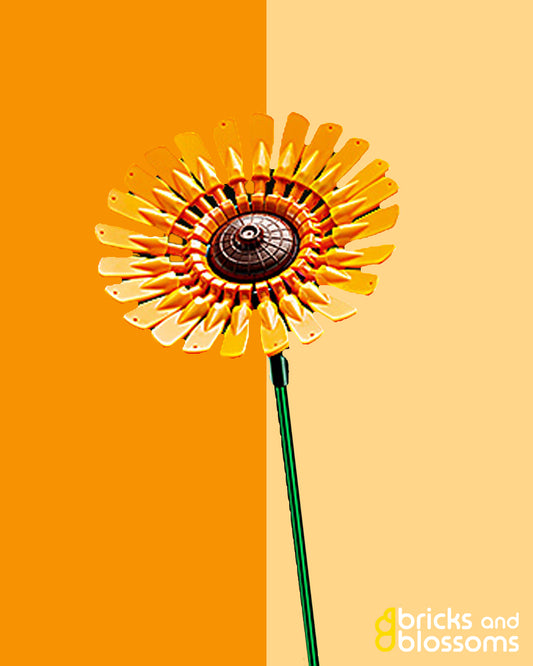 Yellow Gerber Daisy